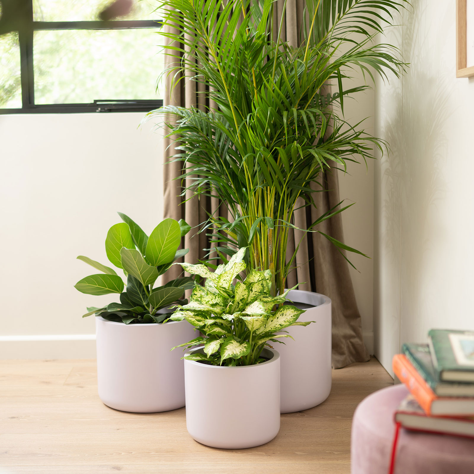 REMY Pot Extra Large REMY Pot Extra Large