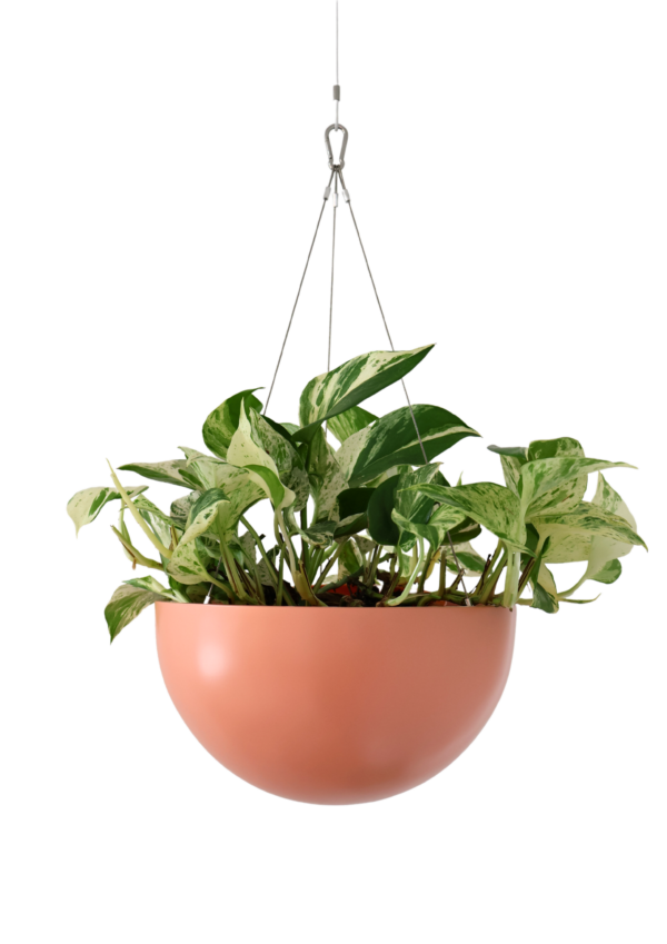 Coco Hanging Bowl - Large